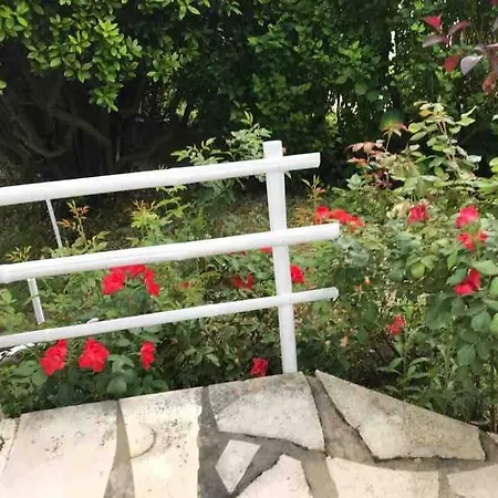 Centre Grande Maison 120m2 Avec Jardin *